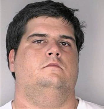 Poe David - Hillsborough County, FL 