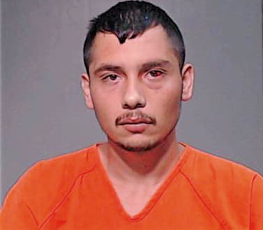 Mendoza Jesus - Hidalgo County, TX 