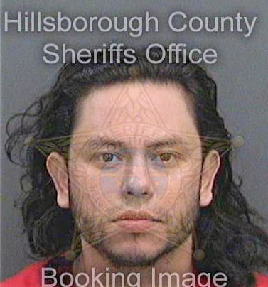 Garciablasnich Jorge - Hillsborough County, FL 