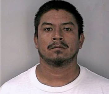 Sanchez Silvestre - Hillsborough County, FL 