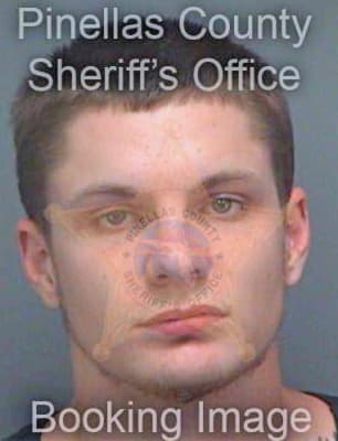 Williams Jonathan - Pinellas County, FL 