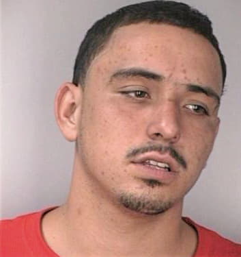 Jaime Mario - Hillsborough County, FL 