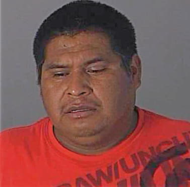 Corona Braulio - Pasco County, FL 