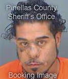 Mcphee Cody - Pinellas County, FL 