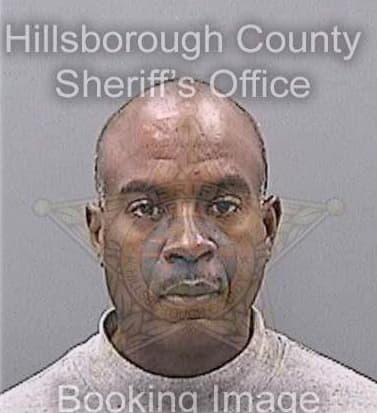 Brabson David - Hillsborough County, FL 