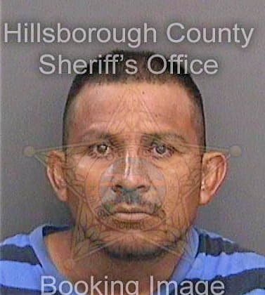 Molinalopez Emir - Hillsborough County, FL 