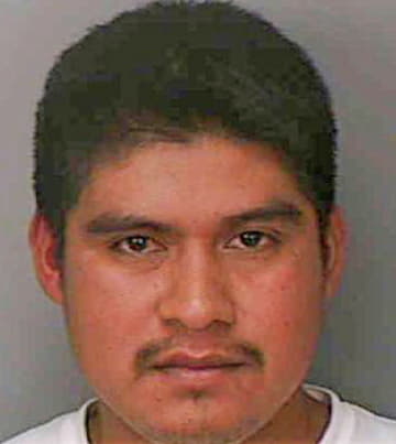 Espinoza Marcelo - Polk County, FL 