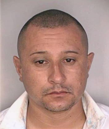 Alvarez Andres - Hillsborough County, FL 