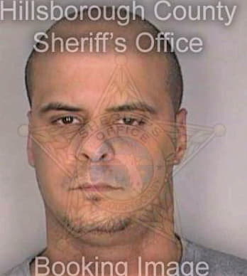 Badawi Charles - Hillsborough County, FL 