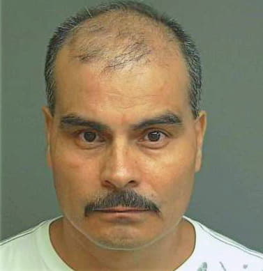 Delavega Jose - Douglas County, GA 
