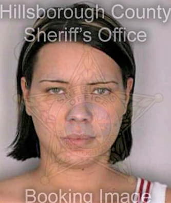 Howard Brandy - Hillsborough County, FL 