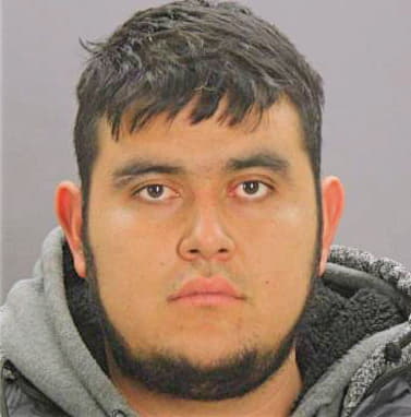 Alcarezluna Cecilio - Dallas County, TX 
