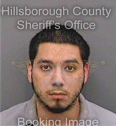 Lara Cristobal - Hillsborough County, FL 