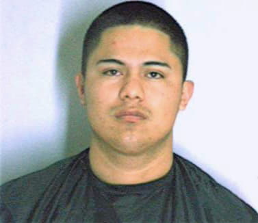 Ramirez Diego - Dekalb County, GA 