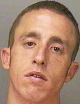 Plumer Guy - Polk County, FL 