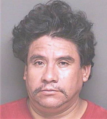 Flores Honorio - Lake County, FL 