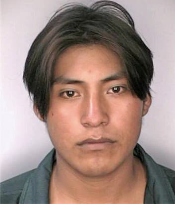 Mendez Pablo - Hillsborough County, FL 