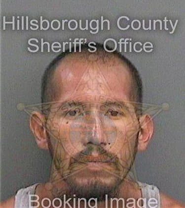 Ochoa Santiago - Hillsborough County, FL 