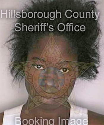 Doughlin Denise - Hillsborough County, FL 