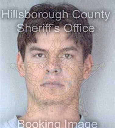 Holt Dewayne - Hillsborough County, FL 
