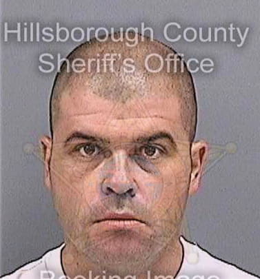 Garcia Eisnel - Hillsborough County, FL 