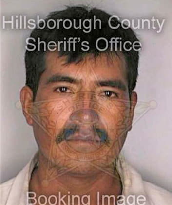 Lopezvasquez Guillermo - Hillsborough County, FL 