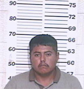 Rivera Nelson - Hidalgo County, TX 