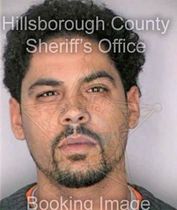 Ramirez Edwin - Hillsborough County, FL 