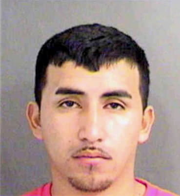 Cervantes Guillermo - Mecklenburg County, NC 