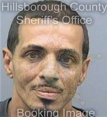 Ortizmorales Miguel - Hillsborough County, FL 