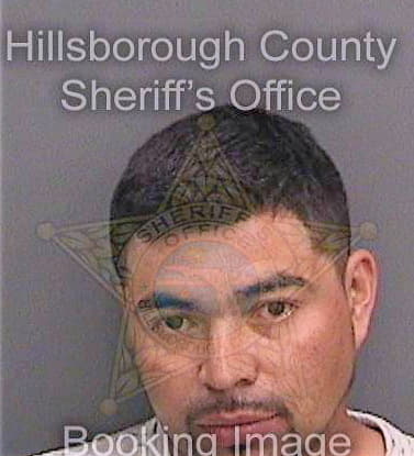Ortizasian Sergio - Hillsborough County, FL 