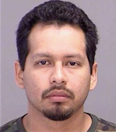 Lopez Antonio - Brazos County, TX 