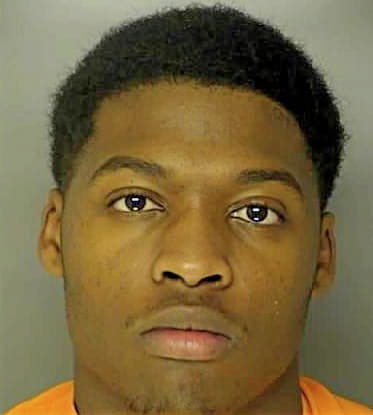 Gause Cortarius - Horry County, SC 