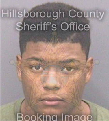 Larry Damon - Hillsborough County, FL 