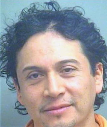 Portillo Miguel - PalmBeach County, FL 