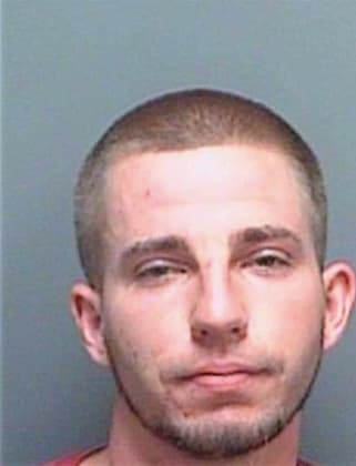 Marshallpratt Nicholas - Pinellas County, FL 