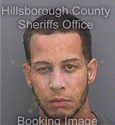 Romeroperalta Ramon - Hillsborough County, FL 