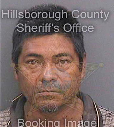 Mendezreyes Elias - Hillsborough County, FL 