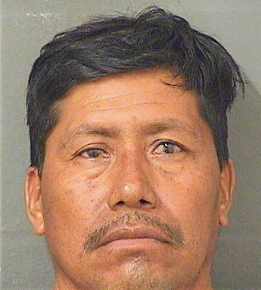 Mendezmendez Eulalio - PalmBeach County, FL 