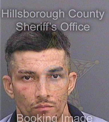 Musella James - Hillsborough County, FL 