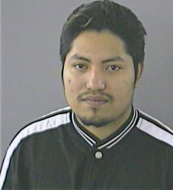 Bravo Jose - Gwinnett County, GA 