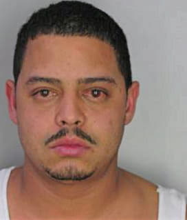 Carillomorales Jose - Hillsborough County, FL 