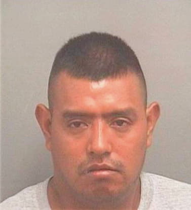Deleongarcia Leonel - PalmBeach County, FL 