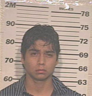 Gamez Aaron - Hidalgo County, TX 