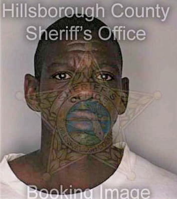 Robinson Christopher - Hillsborough County, FL 