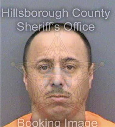 Garciadellira Jesus - Hillsborough County, FL 