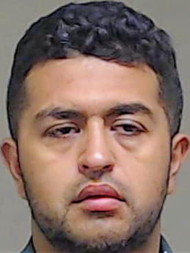 Chico Oscar - Collin County, TX 