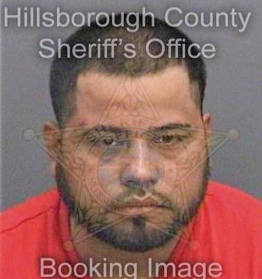 Cruzgomez Hector - Hillsborough County, FL 