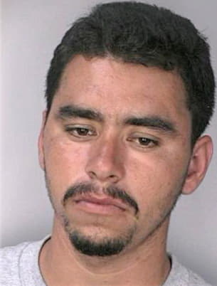 Perezmondrago Rene - Hillsborough County, FL 