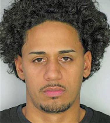 Rivera Reynaldo - Hillsborough County, FL 